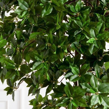 190/РН/ОК/703(Пр)(F) Дерево искусственное лиственное h190см,(латекс)