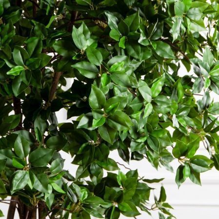 190/РН/ОК/703(Пр)(F) Дерево искусственное лиственное h190см,(латекс)