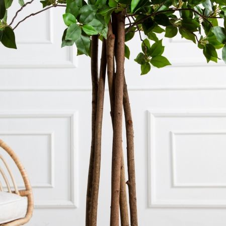 190/РН/ОК/703(Пр)(F) Дерево искусственное лиственное h190см,(латекс)