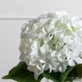 7141А/0108-0358/23(F) Гортензия искусственная h50см(голова 12см d18см) белая