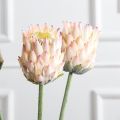 7141А/0287-0341/1(F) Протея искусственная h70см(голова 10см d7см) розовая