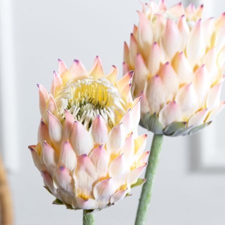 7141А/0287-0341/1(F) Протея искусственная h70см(голова 10см d7см) розовая 7141А/0287-0341/1(F) Протея искусственная h70см(голова 10см d7см) розовая