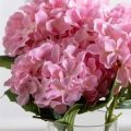 7141А/0108-0358/1(F) Гортензия искусственная h50см(голова 12см d18см) розовая