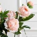 7141А/9122-0346/13(F) Пион искусственный h77см 2головы 1бутон,персиковый 7141А/9122-0346/13(F) Пион искусственный h77см 2головы 1бутон,персиковый