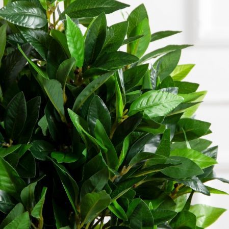 060/К/188(Пр)(F) Лавр искусственный h60-65см (латекс) 060/К/188(Пр)(F) Лавр искусственный h60-65см (латекс)