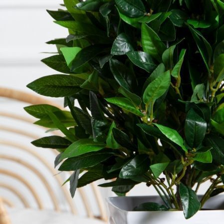 060/К/188(Пр)(F) Лавр искусственный h60-65см (латекс) 060/К/188(Пр)(F) Лавр искусственный h60-65см (латекс)