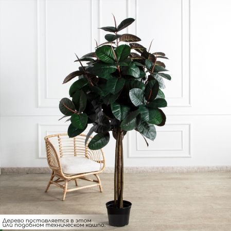210/ШК/РН/186(Пр)(F) Фикус Эластика Робуста искусственный h210см (латекс)