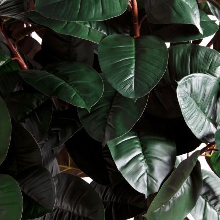 210/ШК/РН/186(Пр)(F) Фикус Эластика Робуста искусственный h210см (латекс)