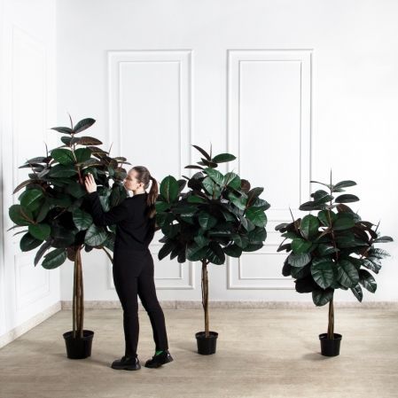 210/ШК/РН/186(Пр)(F) Фикус Эластика Робуста искусственный h210см (латекс)