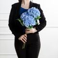 7141А/0108-0358/10(F) Гортензия искусственная h50см(голова 12см d18см) голубая