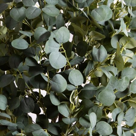 180/РН/617(з)(УУ)(Пр)(F) Дерево искусственное Эвкалипт h180см