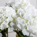 7141А/0108-0359/23(F) Гортензия искусственная h46см(голова 13см d16см) белая