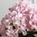 7141А/0108-0359/1(F) Гортензия искусственная h46см(голова 13см d16см) розовая