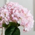 7141А/0108-0359/1(F) Гортензия искусственная h46см(голова 13см d16см) розовая