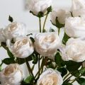 7141А/9122-0350/4(F) Роза кустовая искусственная h55см 7голов,кремовая