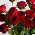7141А/9122-0350/2(F) Роза кустовая искусственная h55см 7голов,красная
