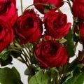 7141А/9122-0350/2(F) Роза кустовая искусственная h55см 7голов,красная