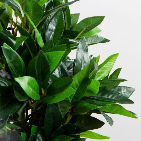 040/К/188(Пр)(F) Лавр искусственный h40-45см (латекс) 040/К/188(Пр)(F) Лавр искусственный h40-45см (латекс)