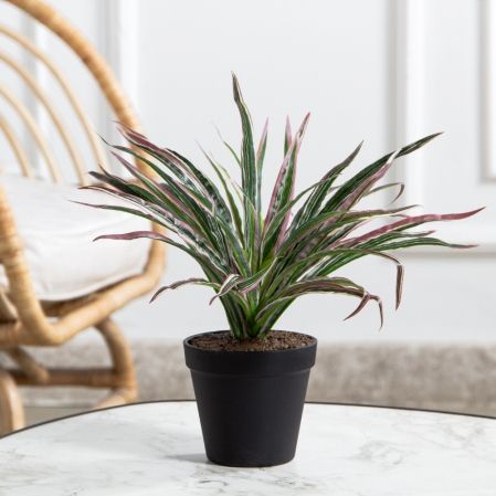 КС47-1(FixS)(Пр)(F) Драцена искусственная h20см в кашпо d11см,зелено-бордавая КС47-1(FixS)(Пр)(F) Драцена искусственная h20см в кашпо d11см,зелено-бордавая