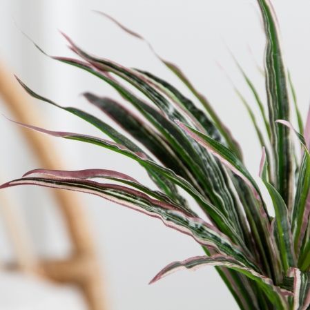 КС47-1(FixS)(Пр)(F) Драцена искусственная h20см в кашпо d11см,зелено-бордавая КС47-1(FixS)(Пр)(F) Драцена искусственная h20см в кашпо d11см,зелено-бордавая