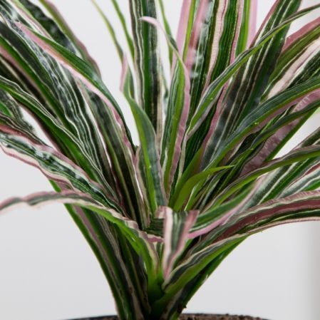 КС47-1(FixS)(Пр)(F) Драцена искусственная h20см в кашпо d11см,зелено-бордавая КС47-1(FixS)(Пр)(F) Драцена искусственная h20см в кашпо d11см,зелено-бордавая