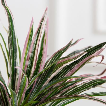 КС47-1(FixS)(Пр)(F) Драцена искусственная h20см в кашпо d11см,зелено-бордавая КС47-1(FixS)(Пр)(F) Драцена искусственная h20см в кашпо d11см,зелено-бордавая