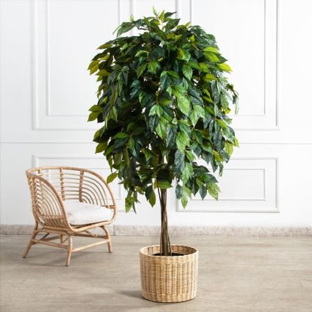 180/РН/537(FixS)(Пр)(F) Азимина искусственная h250см, (латекс)