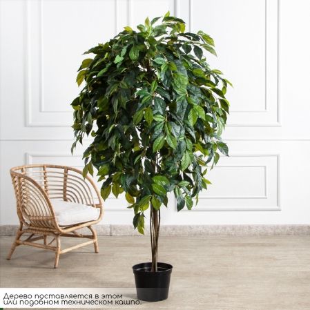 180/РН/537(FixS)(Пр)(F) Азимина искусственная h250см, (латекс)