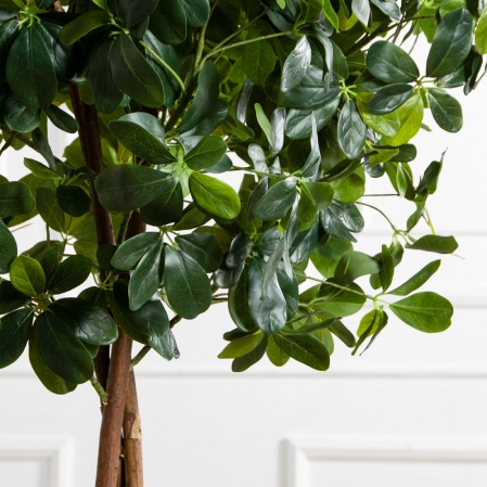 160/Ш/РН/84(FixS)(Пр)(F) Шеффлера искусственная h160см (латекс) 160/Ш/РН/84(FixS)(Пр)(F) Шеффлера искусственная h160см (латекс)