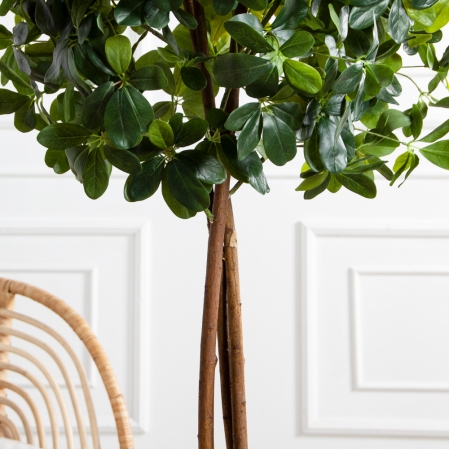 160/Ш/РН/84(FixS)(Пр)(F) Шеффлера искусственная h160см (латекс) 160/Ш/РН/84(FixS)(Пр)(F) Шеффлера искусственная h160см (латекс)