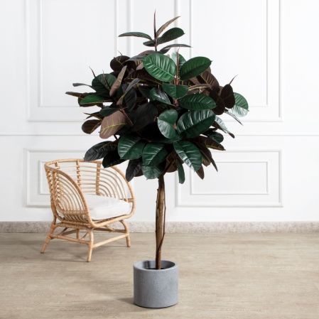 180/ШК/РН/186(Пр)(F) Фикус Эластика Робуста искусственный h180см (латекс)