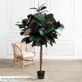 180/ШК/РН/186(Пр)(F) Фикус Эластика Робуста искусственный h180см (латекс)