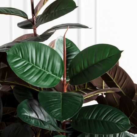 180/ШК/РН/186(Пр)(F) Фикус Эластика Робуста искусственный h180см (латекс)