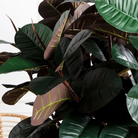 180/ШК/РН/186(Пр)(F) Фикус Эластика Робуста искусственный h180см (латекс)