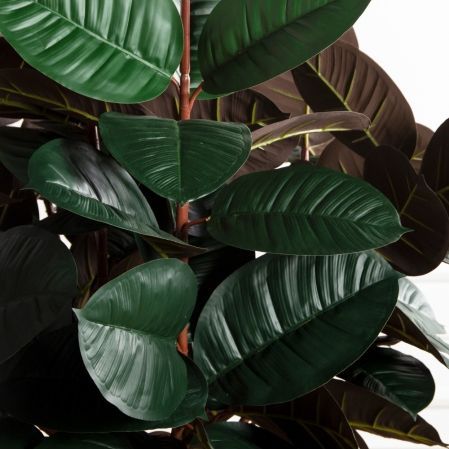 180/ШК/РН/186(Пр)(F) Фикус Эластика Робуста искусственный h180см (латекс)