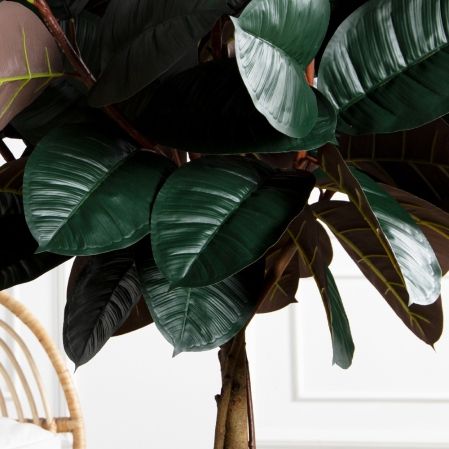 180/ШК/РН/186(Пр)(F) Фикус Эластика Робуста искусственный h180см (латекс)