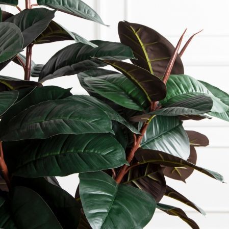 150/ШК/РН/186(Пр)(F) Фикус Эластика Робуста искусственный h150см (латекс)