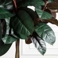 150/ШК/РН/186(Пр)(F) Фикус Эластика Робуста искусственный h150см (латекс)