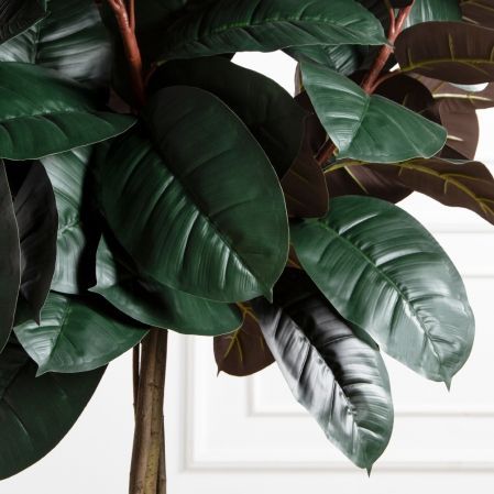 150/ШК/РН/186(Пр)(F) Фикус Эластика Робуста искусственный h150см (латекс)