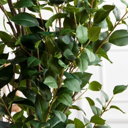 150/К/РН/705(Пр)(F) Фикус искусственный кустовой h150см (латекс)