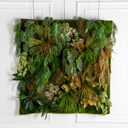 ФТС214(Пр)(Fix)(F) Фитостена на сетке, за 1кв.м