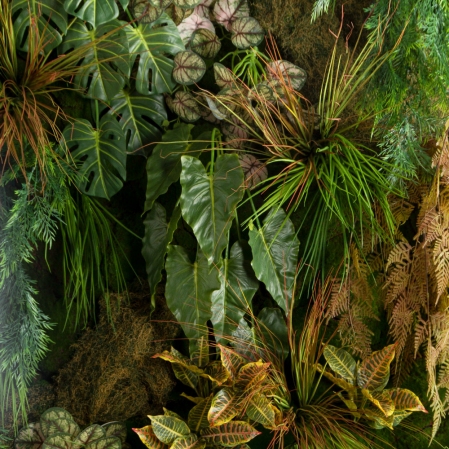 ФТС214(Пр)(Fix)(F) Фитостена на сетке, за 1кв.м