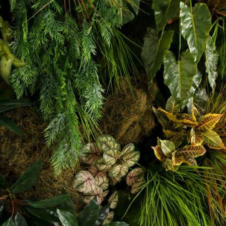 ФТС214(Пр)(Fix)(F) Фитостена на сетке, за 1кв.м