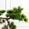 БС075/ОС/30(FixS)(Пр)(F) Бонсай искусственный сосна h75см БС075/ОС/30(FixS)(Пр)(F) Бонсай искусственный сосна h75см