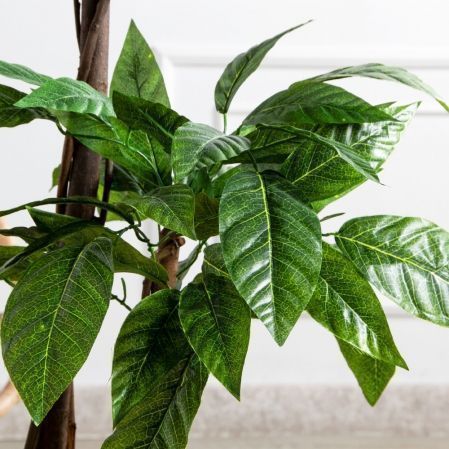 150/РН/209(FixS)(Пр)(F) Магнолия искусственная h150см 150/РН/209(FixS)(Пр)(F) Магнолия искусственная h150см