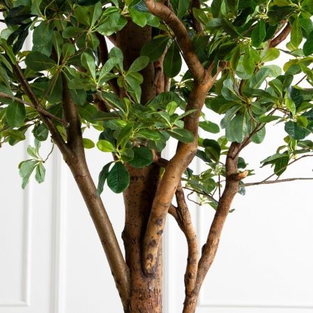 290/РН/84-1(з)(F) Шеффлера искусственная h290 d160х65см на фанерн.основании d50 290/РН/84-1(з)(F) Шеффлера искусственная h290 d160х65см на фанерн.основании d50