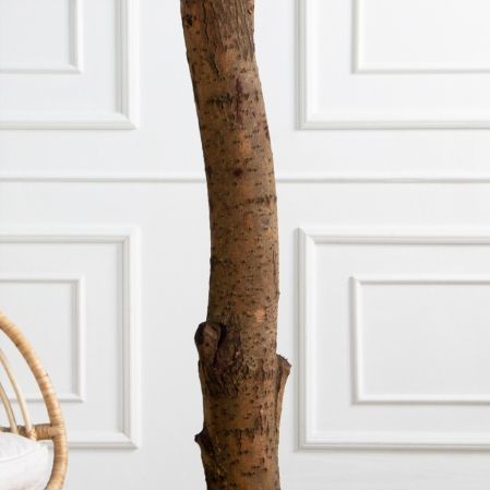 290/РН/84-1(з)(F) Шеффлера искусственная h290 d160х65см на фанерн.основании d50 290/РН/84-1(з)(F) Шеффлера искусственная h290 d160х65см на фанерн.основании d50