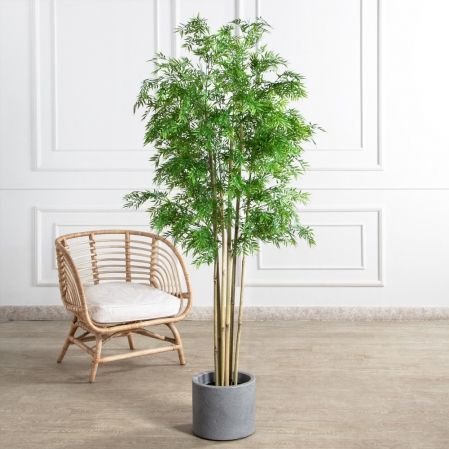 180/620(FixS)(Пр)(F) Бамбук искусственный узколистный 6 стволов, h180см