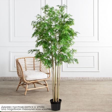 180/620(FixS)(Пр)(F) Бамбук искусственный узколистный 6 стволов, h180см