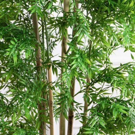 180/620(FixS)(Пр)(F) Бамбук искусственный узколистный 6 стволов, h180см